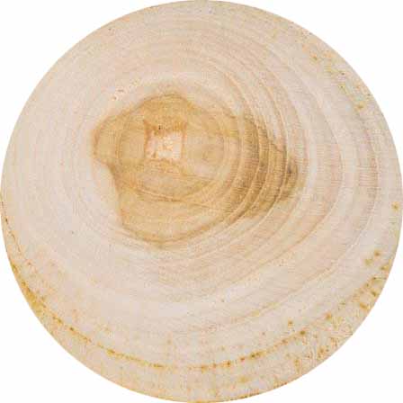 Что такое аромат тикового дерева: способы описания и распознавание.