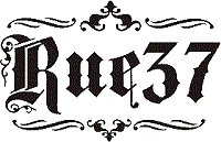 Rue 37