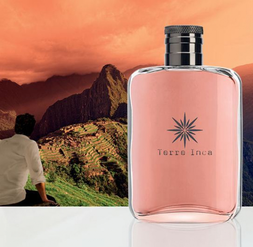 TERRE INCA SPRAY Eau De Toilette 75ml EUR 25,50 - PicClick FR