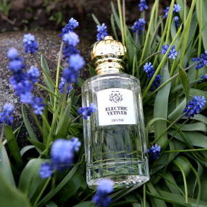 Весенняя свежесть в аромате Electric Vetiver от Devine House of Fragrance