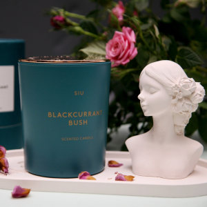 Наполняем жизнь настроением - ароматические свечи SIU