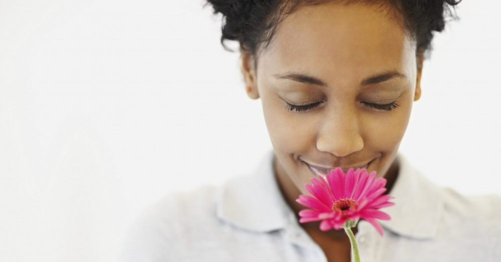 Why you smell this flower